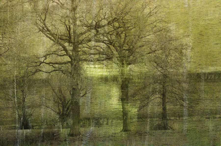 Arbor 2 BOURDEAU Roger_05