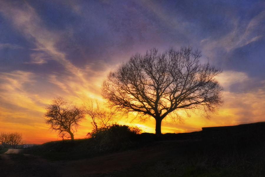 Soleils couchants BEAUFILS Monique_01