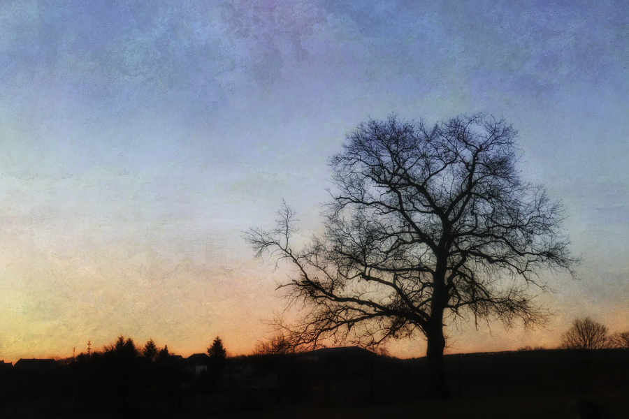 Soleils couchants BEAUFILS Monique_02