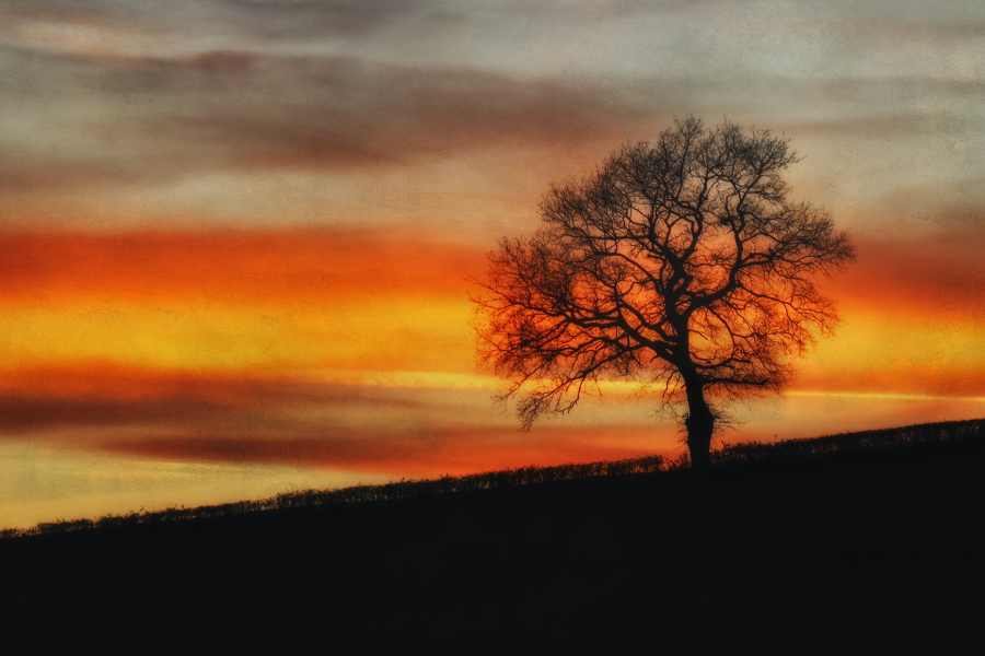 Soleils couchants BEAUFILS Monique_04