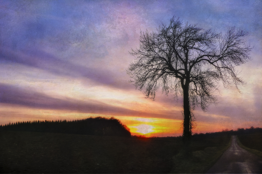 Soleils couchants BEAUFILS Monique_06