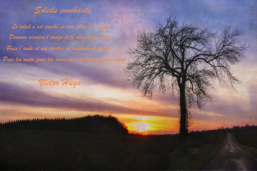 Soleils couchants BEAUFILS Monique_07