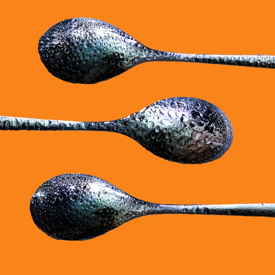 Sortez Couverts DUMONT Yves_03