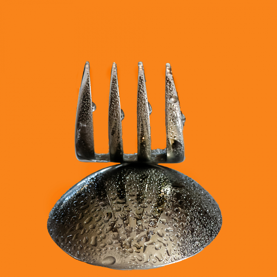 Sortez Couverts DUMONT Yves_04