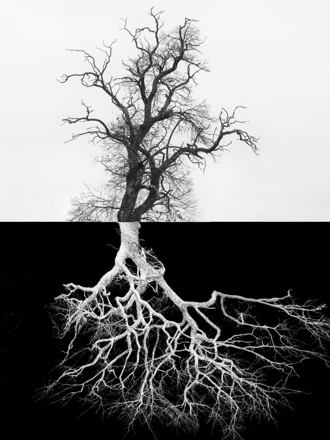 Arbor BOURDEAU Roger_05