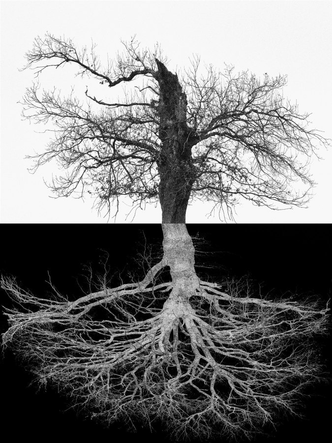 Arbor BOURDEAU Roger_07