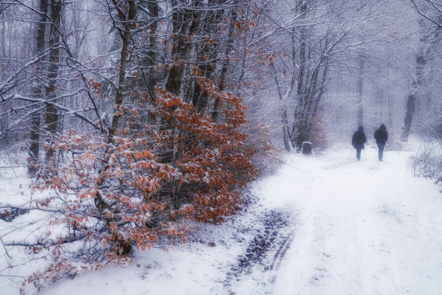 Flanerie hivernale BEAUFILS Monique_04