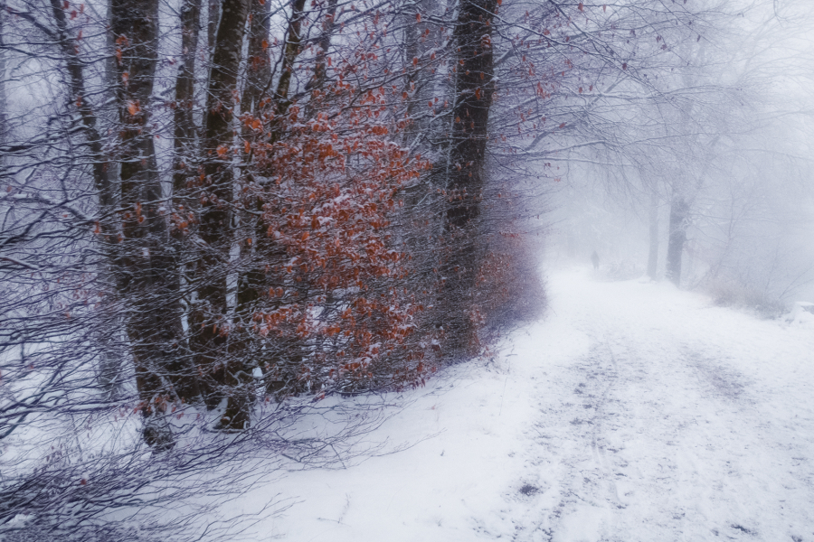 Flanerie hivernale BEAUFILS Monique_06