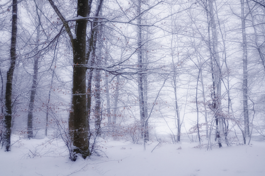 Flanerie hivernale BEAUFILS Monique_08