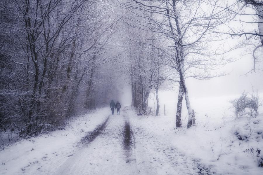 Flanerie hivernale BEAUFILS Monique_09