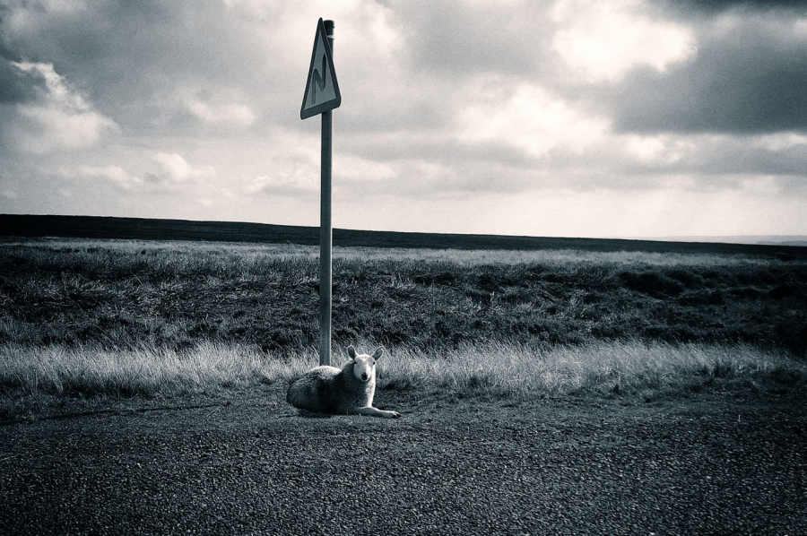 Au bord de la route Labonde Anne-Marie