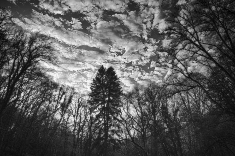 Enlacement BEAUFILS Monique