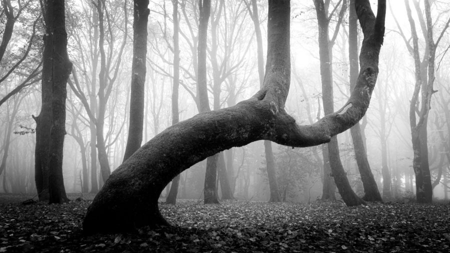 Tourmenté GAUTHIER Alain