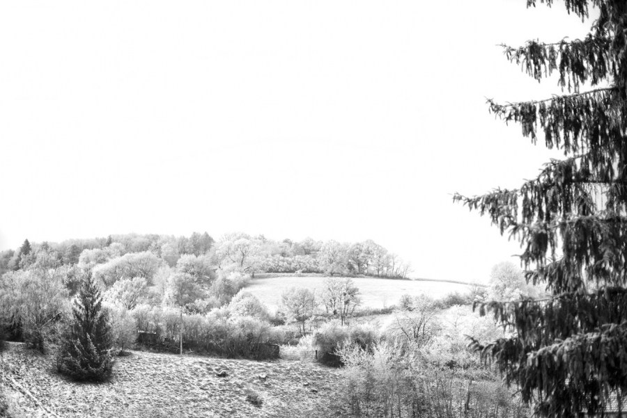 Froidure MILLIET Laurent