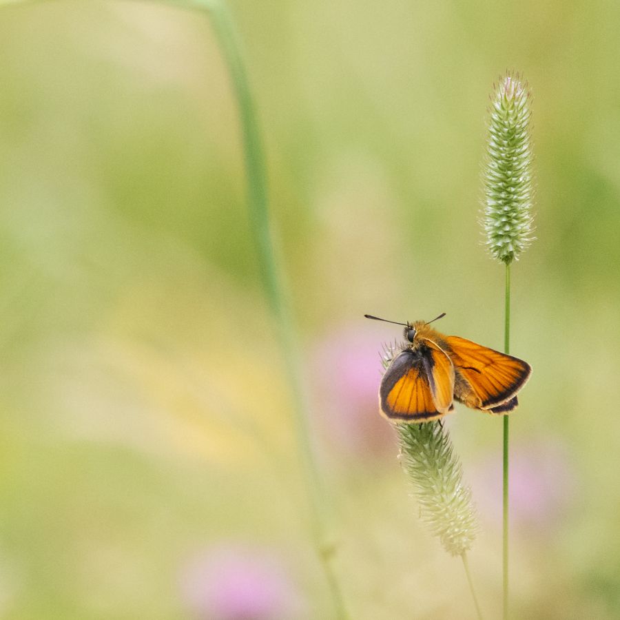 Quiétude BEAUFILS Monique