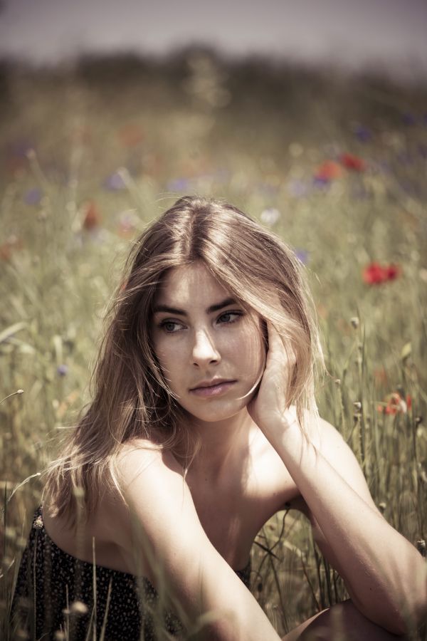 Au milieu des coquelicots CHEREAU Jean-Baptiste