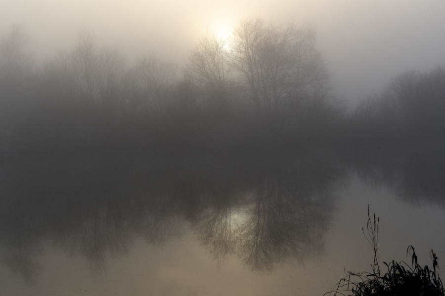 Dans la brume BRUGNOT Andrée Claude