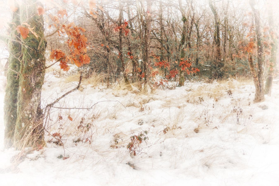 Fantaisies d'hiver BEAUFILS Monique