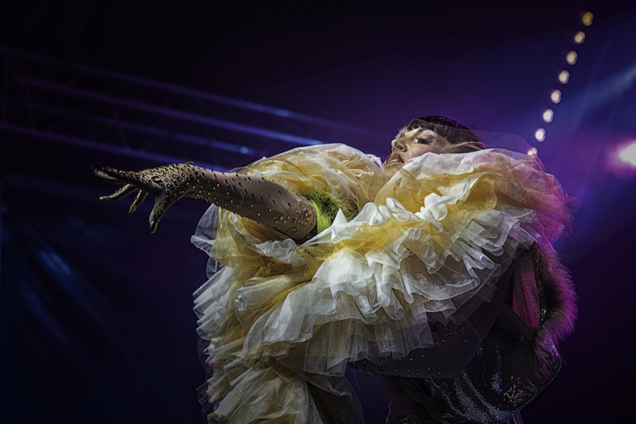 Frou Frou MILLIET Laurent