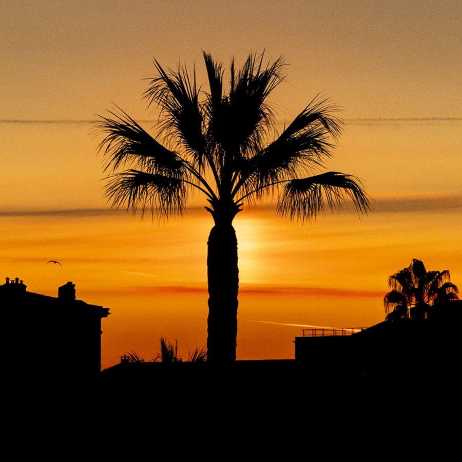 Lever de soleil MOSNIER Michel