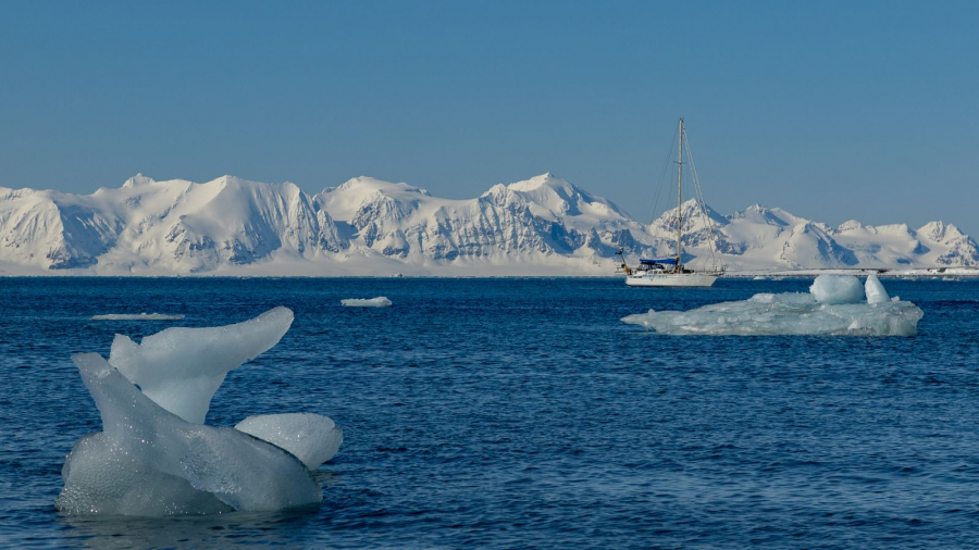 Plage des diamants CONTASSOT Philippe