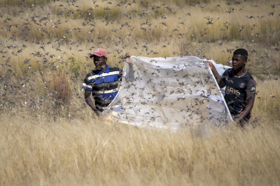 Proteines GUINOT Gilbert