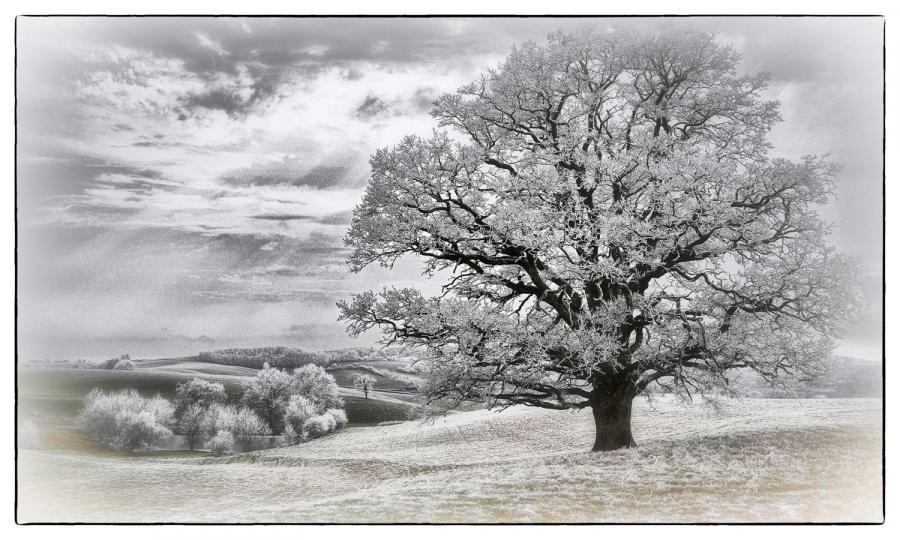 Solitude GUILLET Gilles