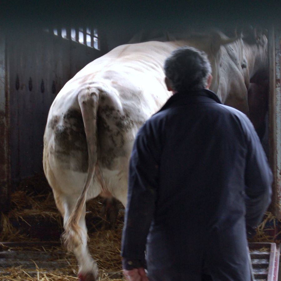 sur la foire BOURDEAU Roger