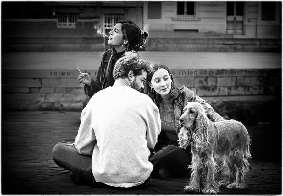 Bon chien LAMBOEUF Bernard