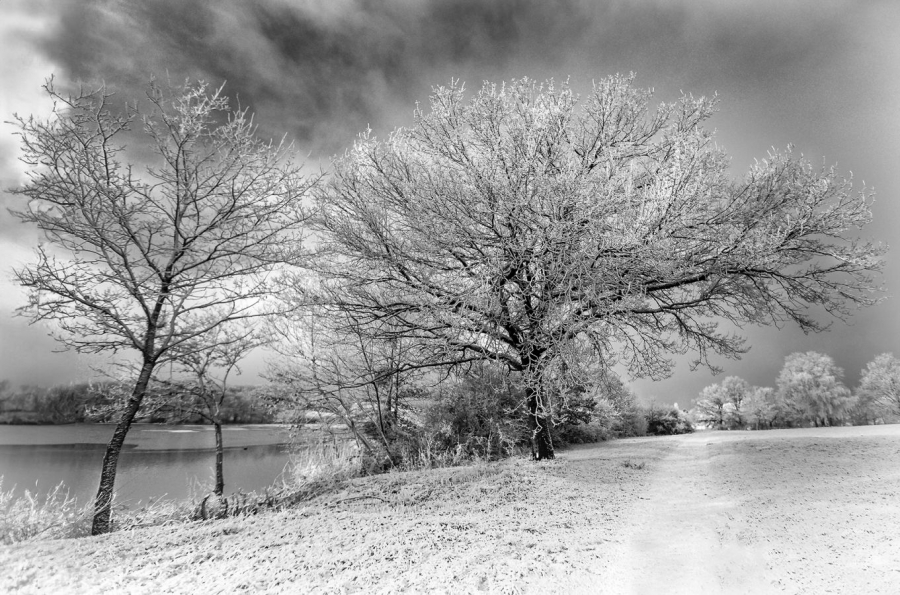 Froidure LAMBOEUF Bernard