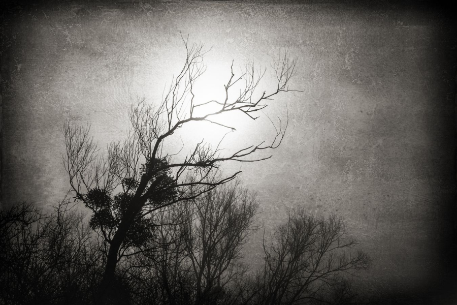 Trouée BEAUFILS Monique