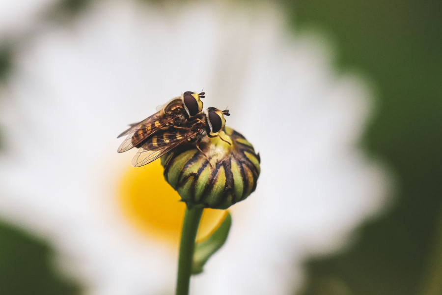 Union BEAUFILS Monique