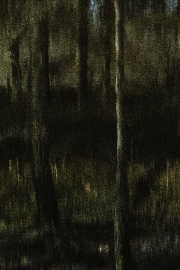 Arbor une présence silencieuse - BOURDEAU Roger 4