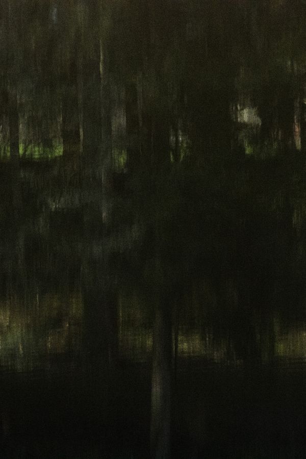 Arbor une présence silencieuse - BOURDEAU Roger 5