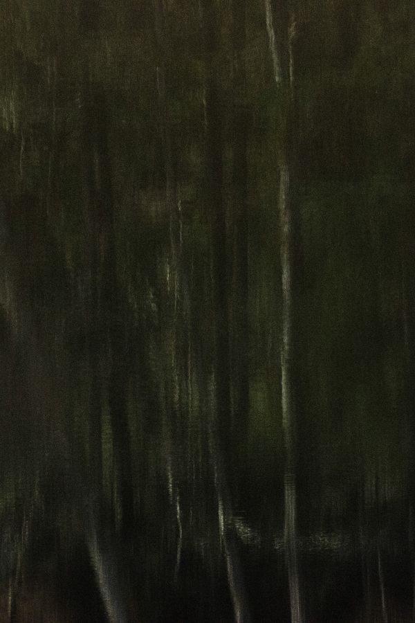 Arbor une présence silencieuse - BOURDEAU Roger 6