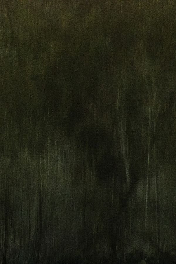 Arbor une présence silencieuse - BOURDEAU Roger 8