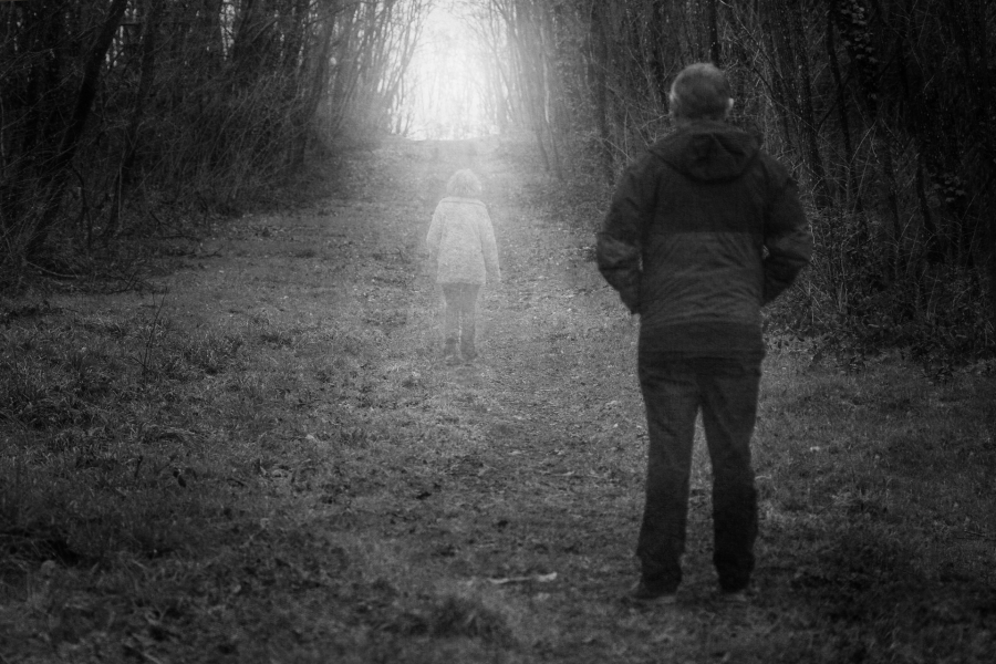 Le manque - GUINOT Elisabeth 11