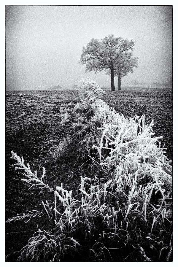 GUILLET Gilles - Ambiance Givrée