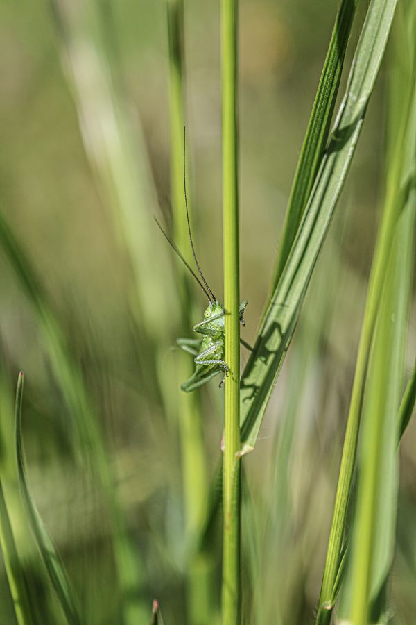 DELEY Daniel - Escalade