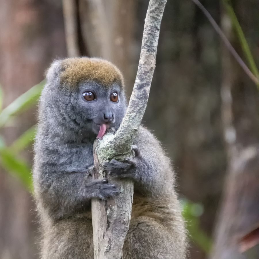 GUINOT Gilbert - C'est bon