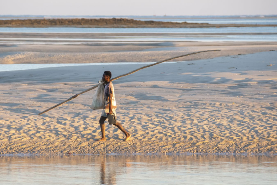 GUINOT Gilbert - Préparatif