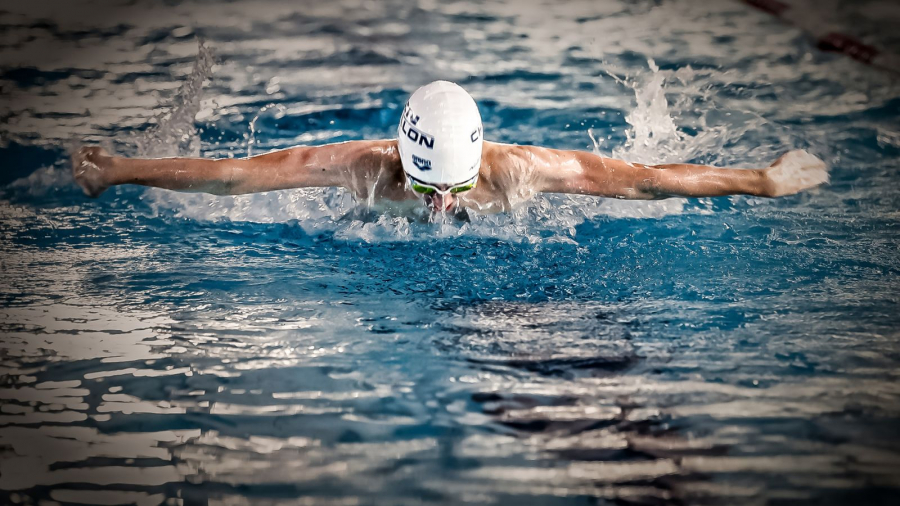MARTINET Thierry - Comme Léon