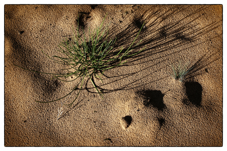 Environnement NAT - GUILLET Gilles 2