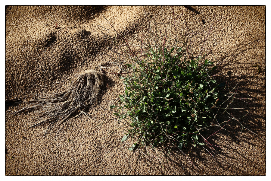 Environnement NAT - GUILLET Gilles 3