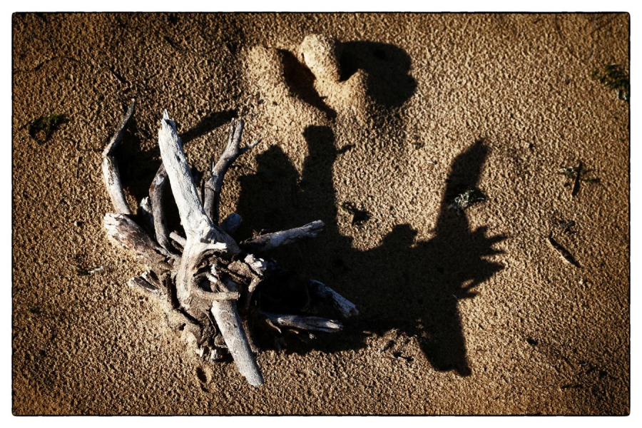 Environnement NAT - GUILLET Gilles 5