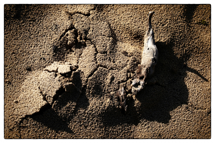 Environnement NAT - GUILLET Gilles 7