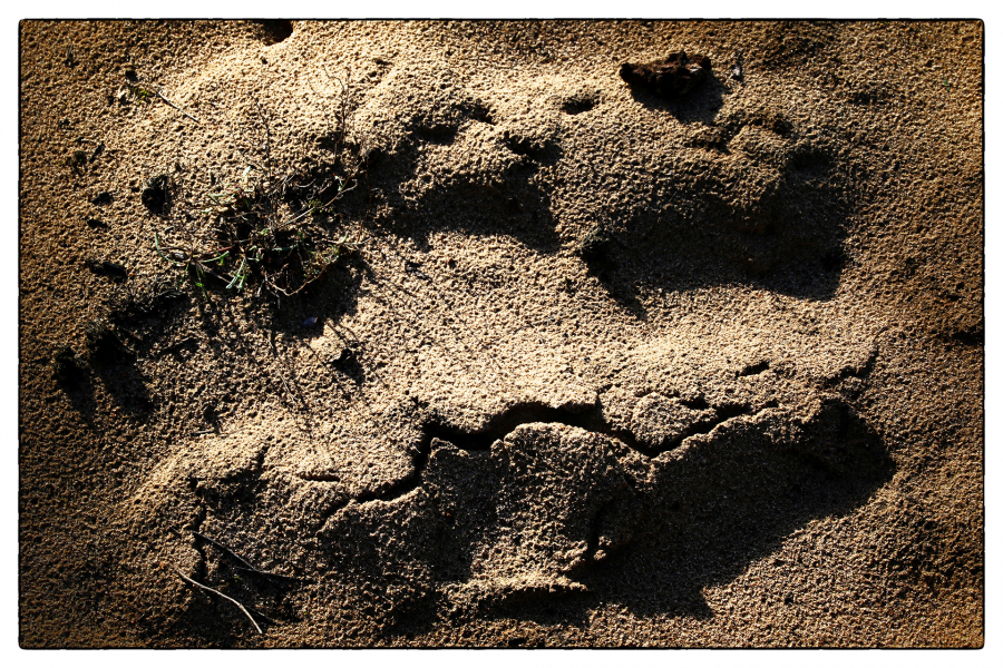 Environnement NAT - GUILLET Gilles 8