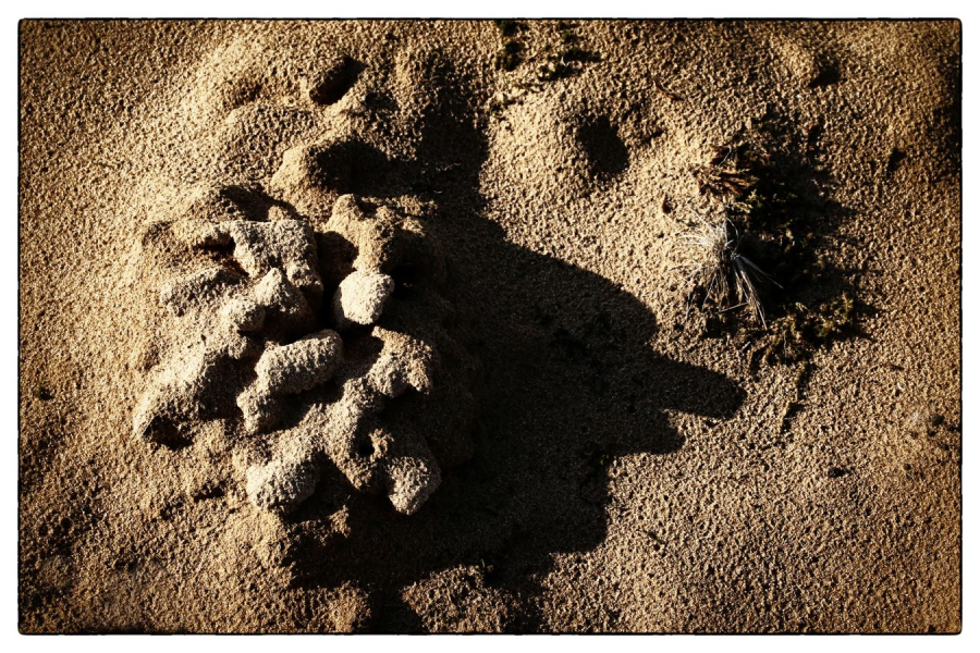 Environnement NAT - GUILLET Gilles 9