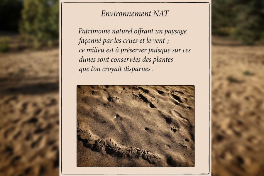 Environnement NAT - GUILLET Gilles 10