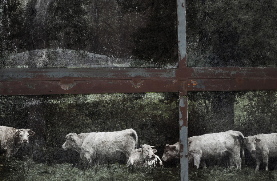Par la fenêtre de l'écurie une mythologie personnelle  BOURDEAU Roger 2